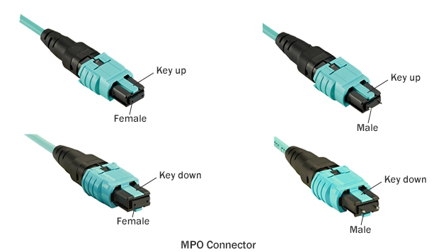 详谈MPO/MTP光纤跳线的芯数、公母头和极性分类